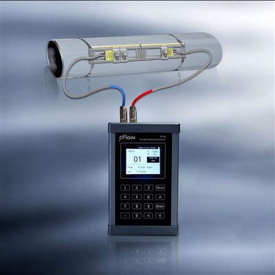 P116 Flowmètre portable pour l'eau ultra-pure